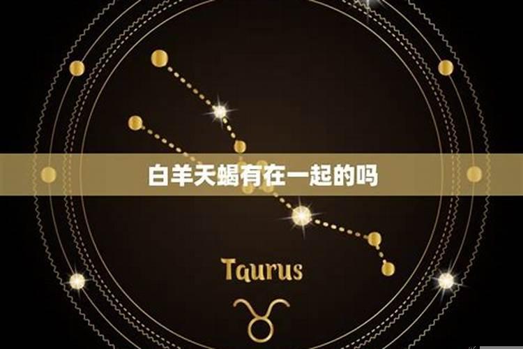 天蝎白羊一见钟情