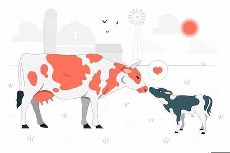 金牛男痴迷哪种女人呢