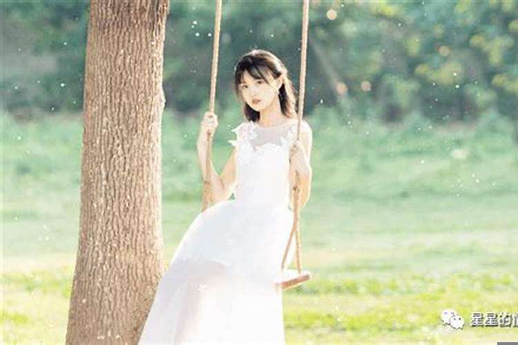 梦见什么才有财运