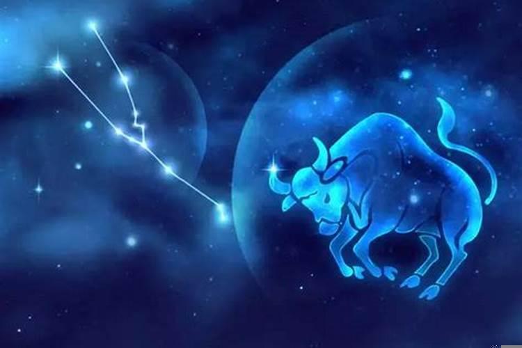 特别注意细节的星座