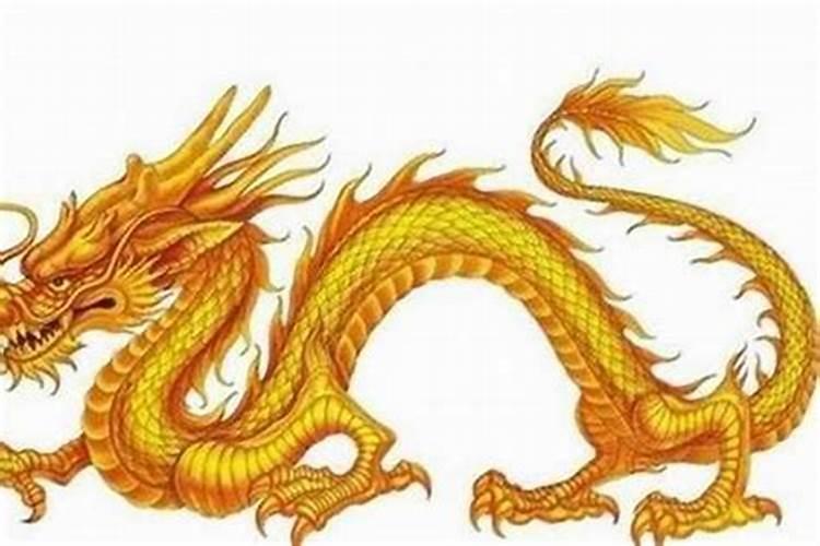 龙跟哪个生肖最配