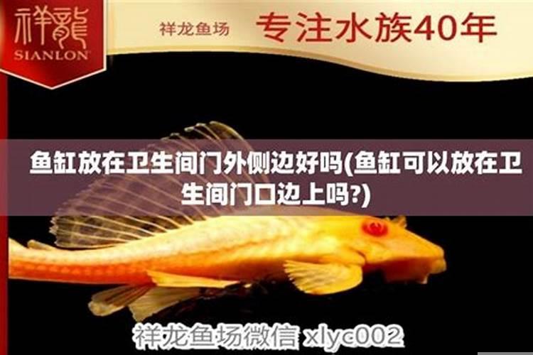 鱼缸能摆在卫生间吗