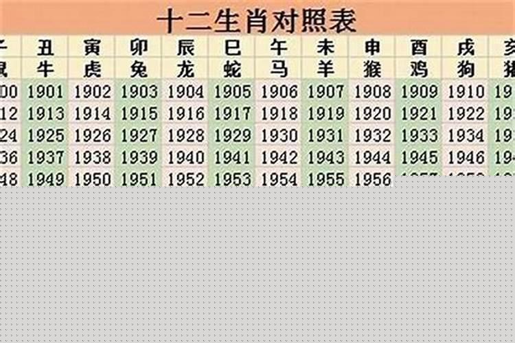 玫瑰花的朵数及其含义