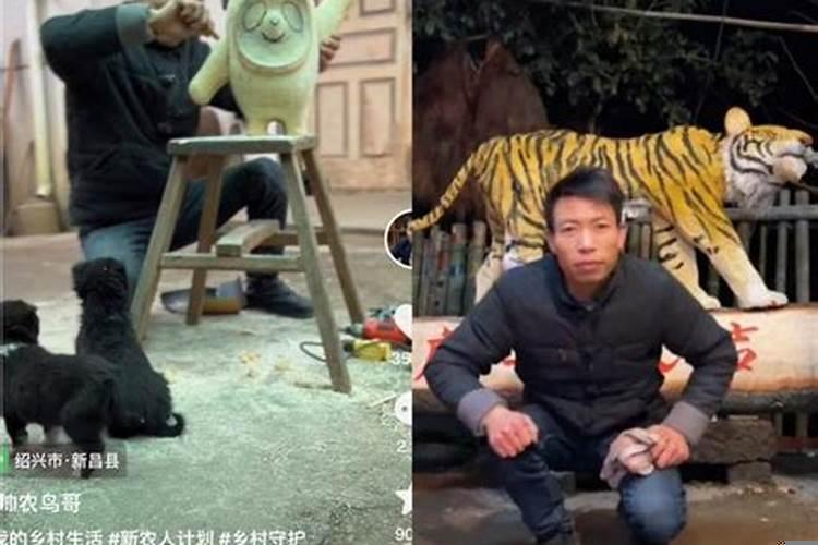 女人梦见砍竹子什么意思