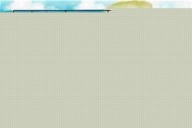 属牛的跟那个属相婚配好