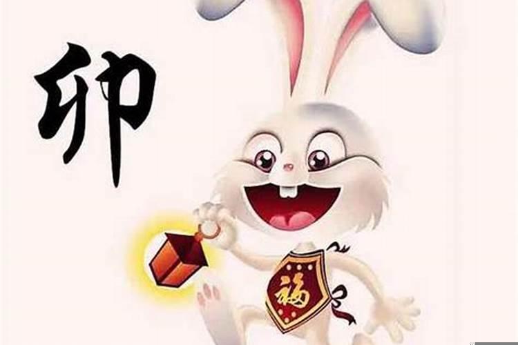 请问2025年属兔的是什么命