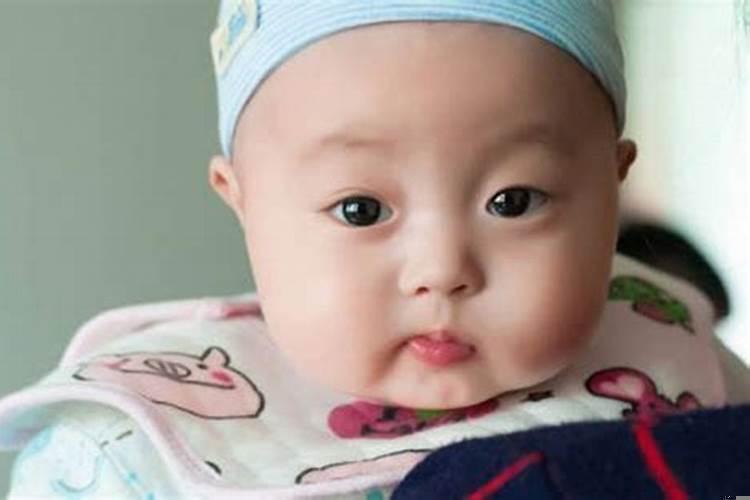 属兔名字宜用字大全