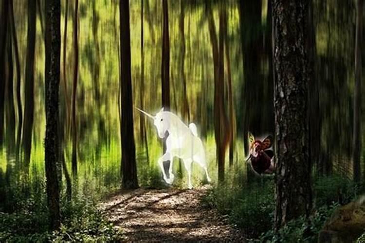 做梦梦到黑麒麟