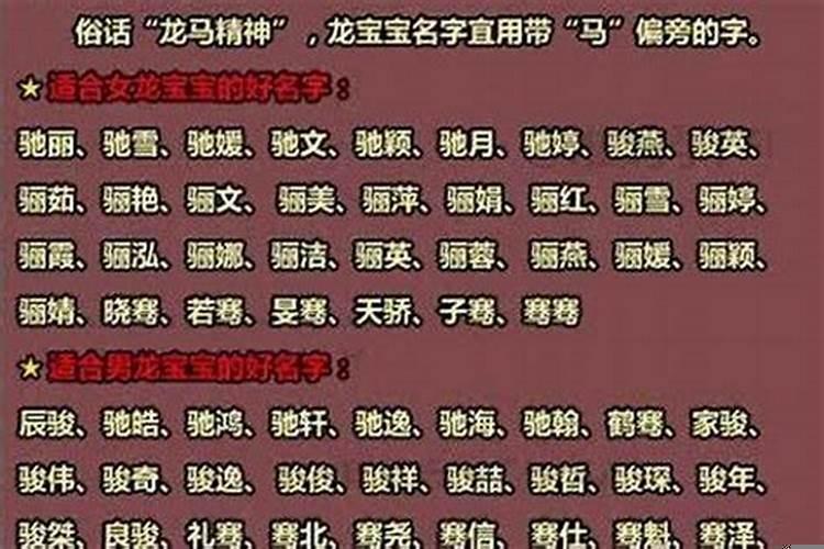 属龙的开店放什么招财