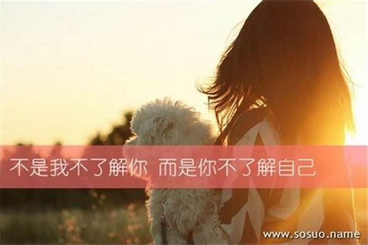 梦见在墓地里走来走去