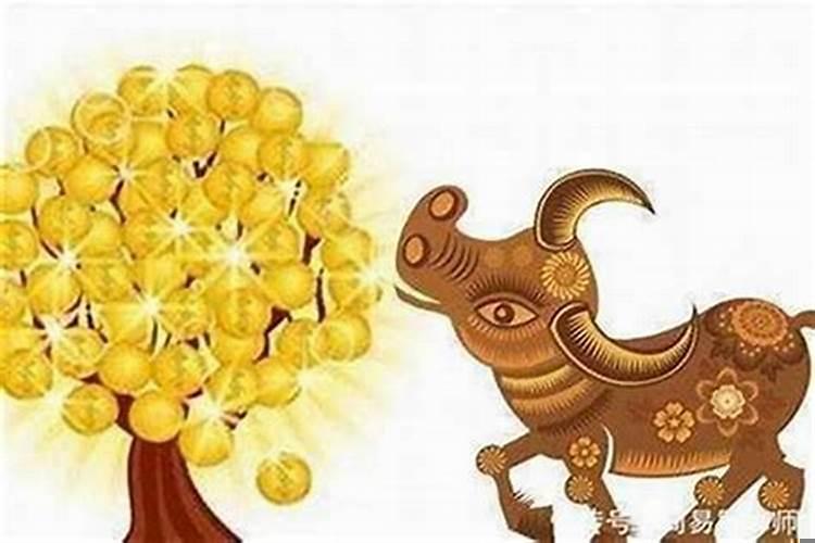 1973年属牛女在2025年怎么样