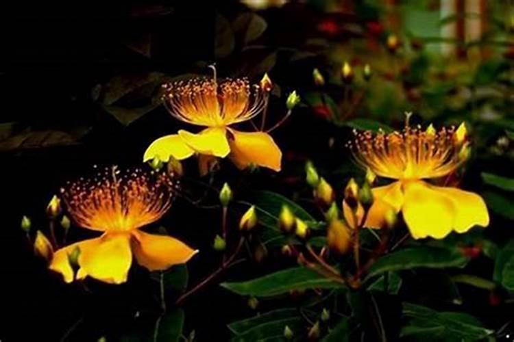 怎样才能让自己的事业运旺起来