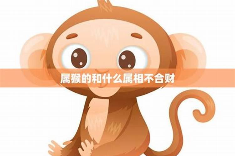 95年属猪男和93年属鸡女婚姻合适吗