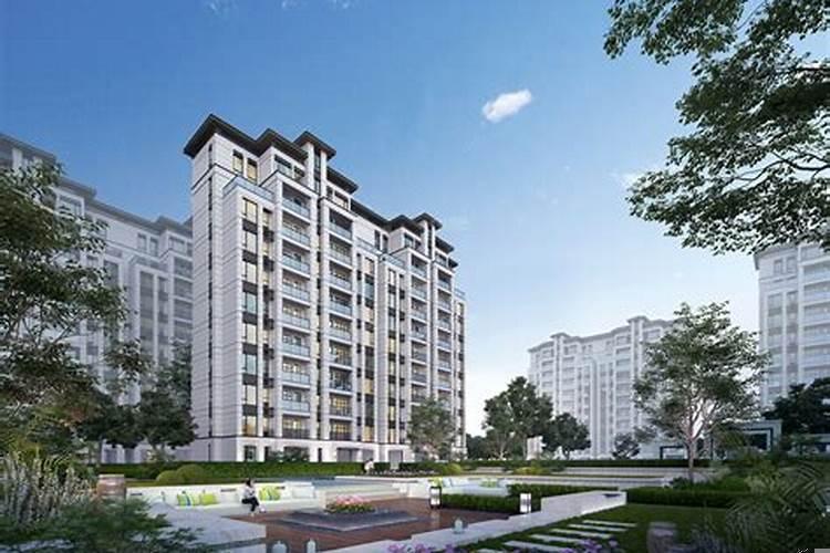 江景房有什么缺点