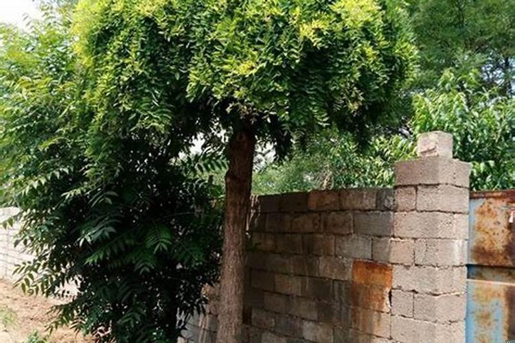 85年属牛适合住几层