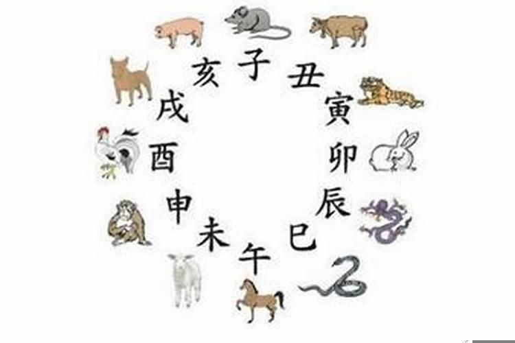 属羊男最爱的生肖女