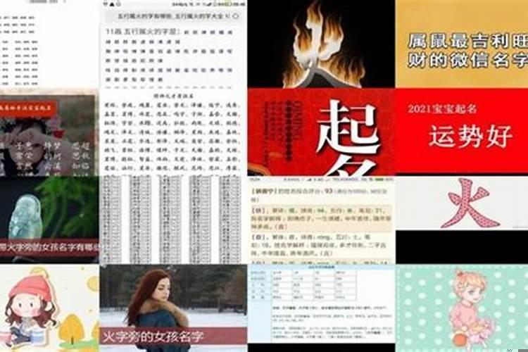 属鼠的起名应该带什么字为好