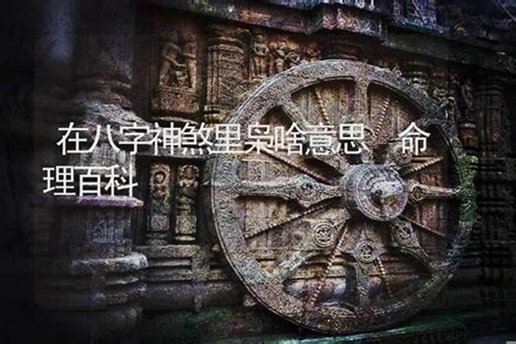 八字中财枭是什么意思