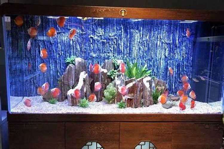 鱼缸水清但不透