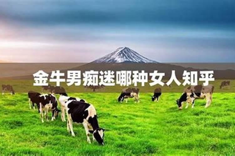 金牛男痴迷哪种女人呢