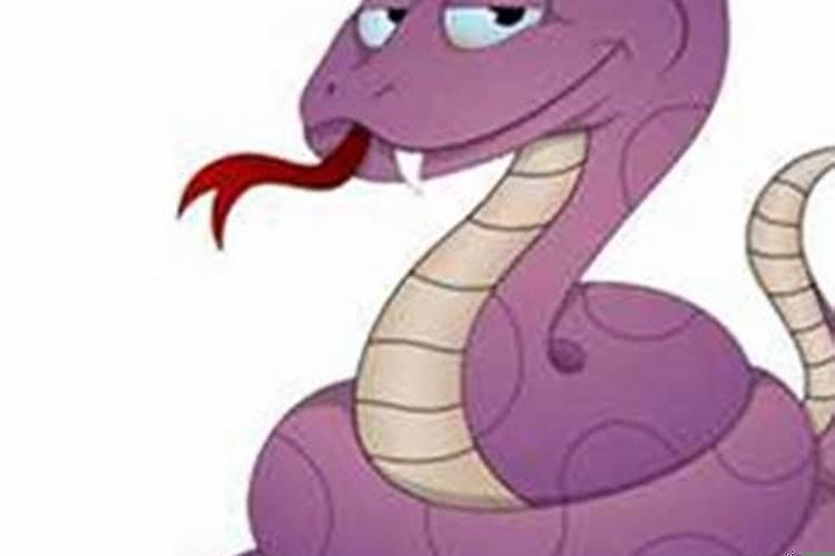 梦到好多条蛇预示着什么女人