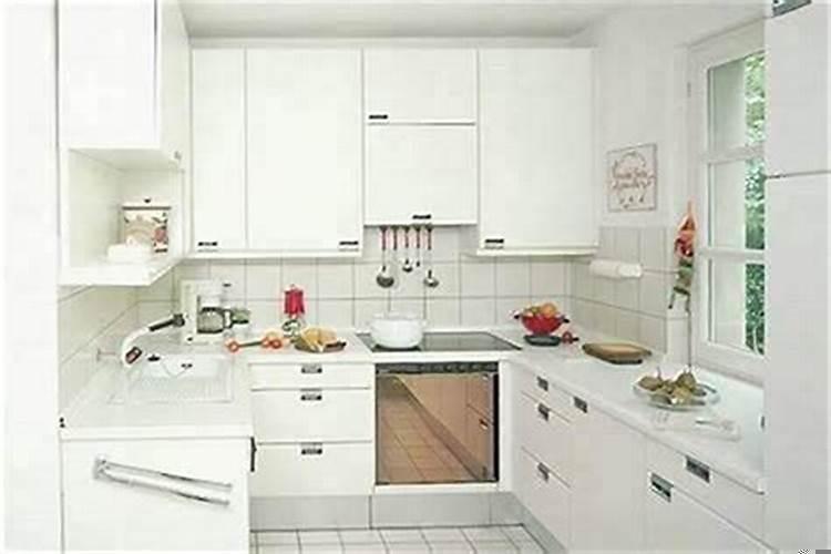 82年属狗的一生