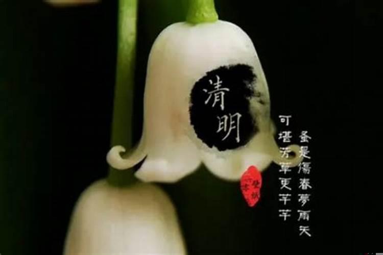 清明修坟可以提前吗