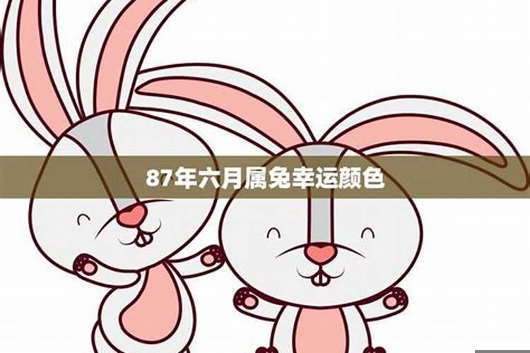 属兔幸运数字和颜色2020