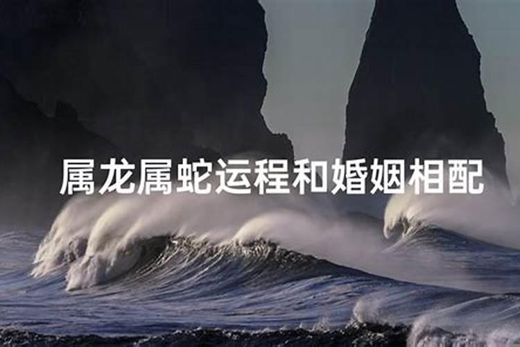 蛇跟龙生肖做夫妻好吗