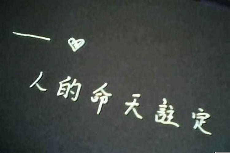 人的命天注定下一句怎么说