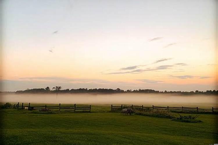 梦到自己的弟弟走丢了