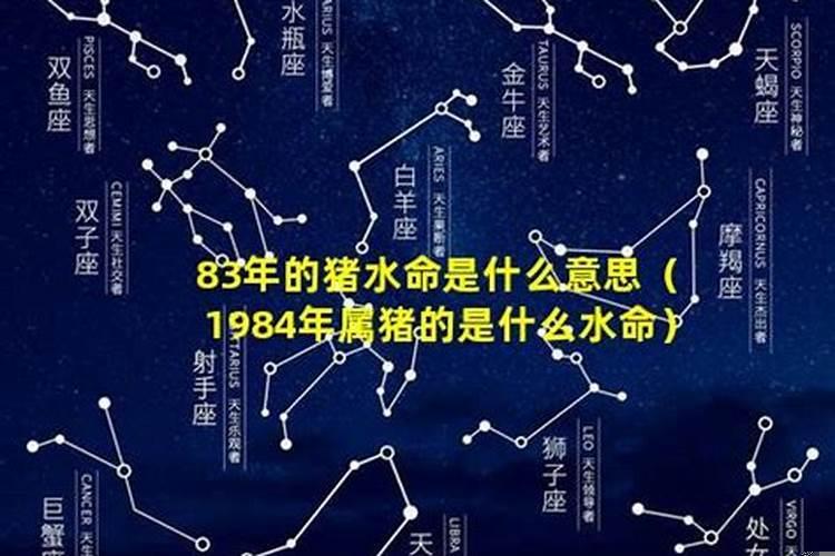 83属猪水命