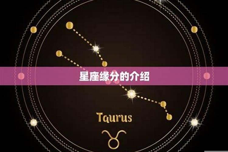 十二星座跟谁有缘分