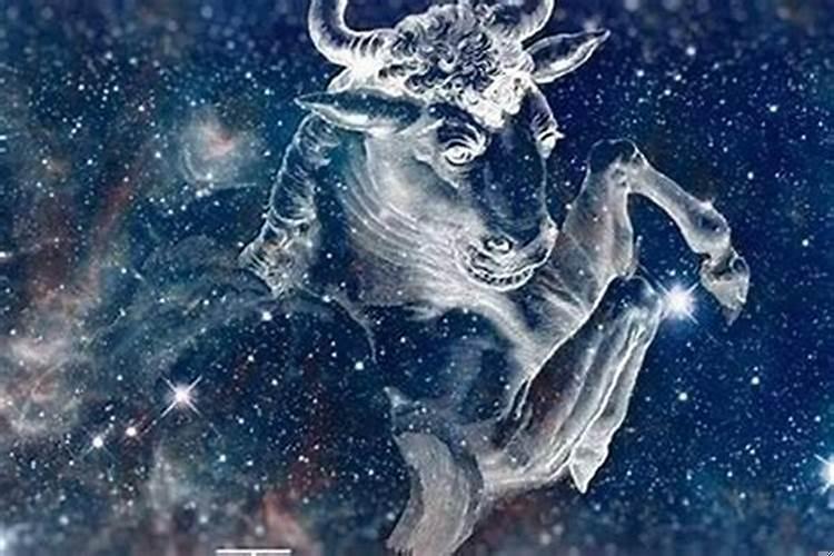 金牛座潜力最强