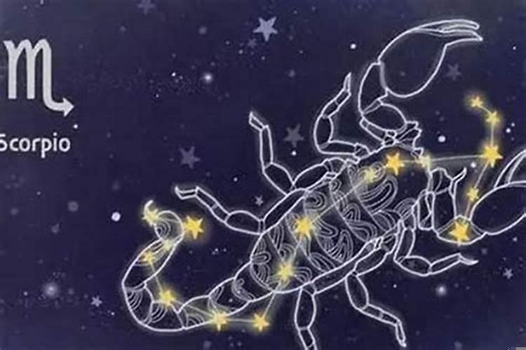 处女座和天蝎座是天敌吗