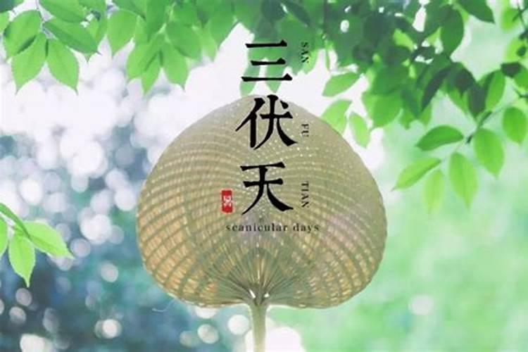 2025年三伏天是什么时候