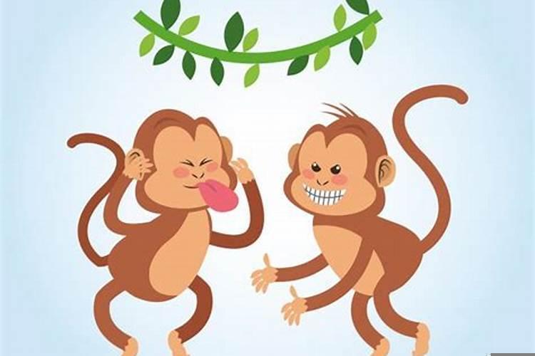 夫妻两个都属猴会咋样