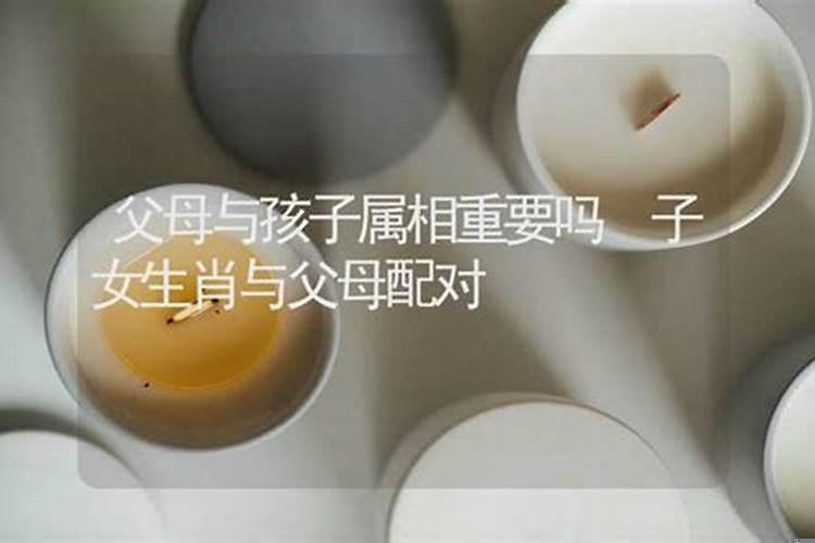 父母与孩子属相重要吗