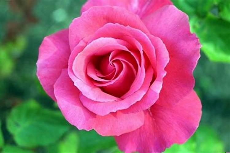 海中金和炉中火相克吗