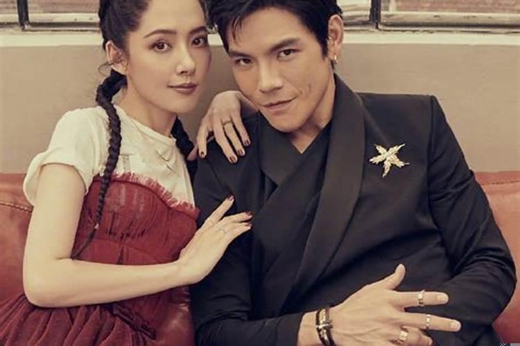 向佐和郭碧婷现状