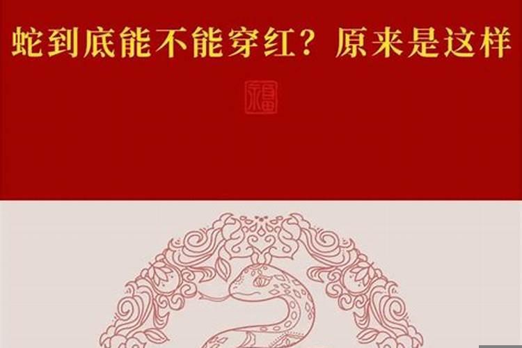 属蛇本命年的大忌