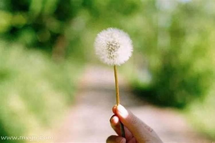 梦到丢了东西找不到