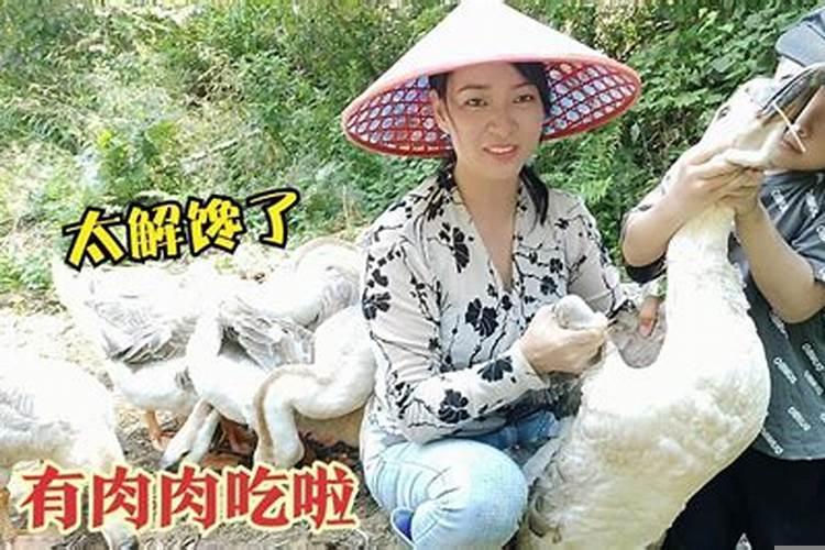 梦见捉了一只大鹅