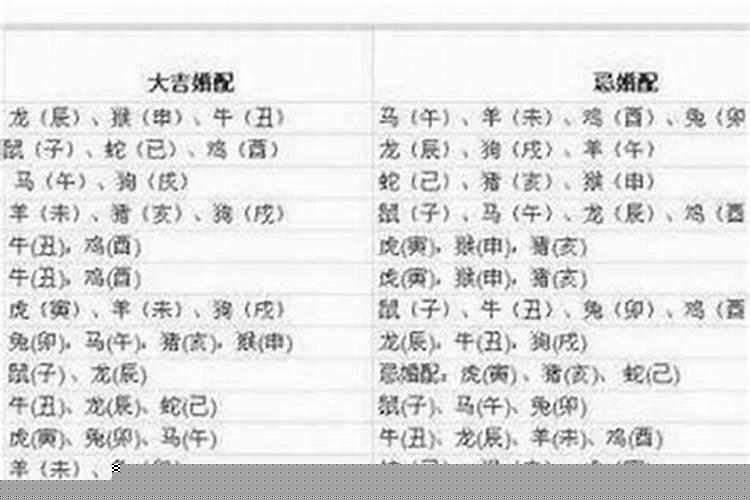 76年的龙与82年的狗可以配婚吗