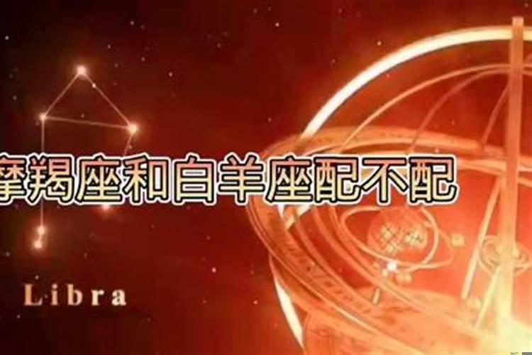 双子男和摩羯女配对怎么样