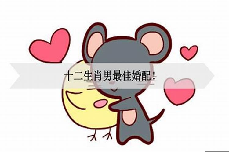 免费十二生肖最佳姻缘配对