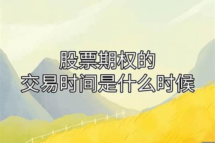 向佐和郭碧婷现状