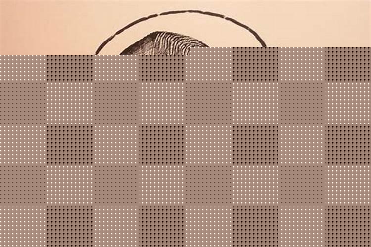 女命走才运表示什么