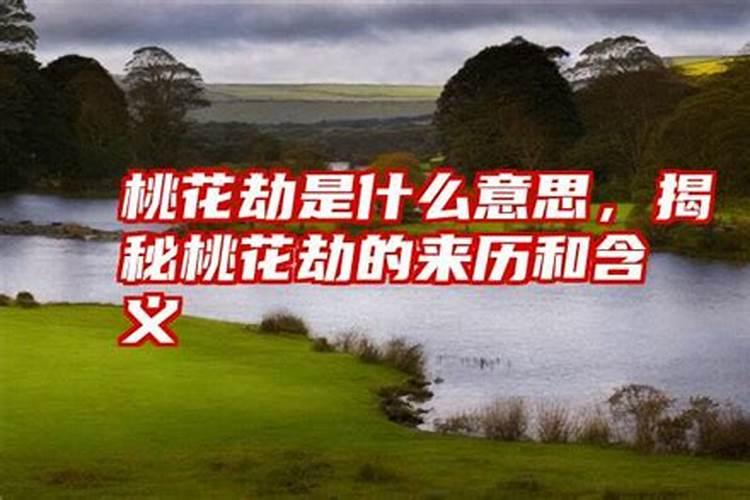 12生肖一生的桃花劫数