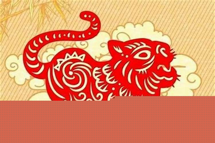 生肖虎的财运